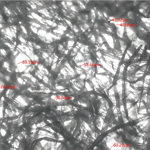 Microscopic view of Molyaré‘s absorbent core fibers showing length and helical structure for rapid fluid acquisition and superior retention
