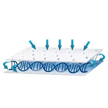 Diagram 3: Spiral fiber structure facilitates one-way moisture flow to prevent leakage and reflux.